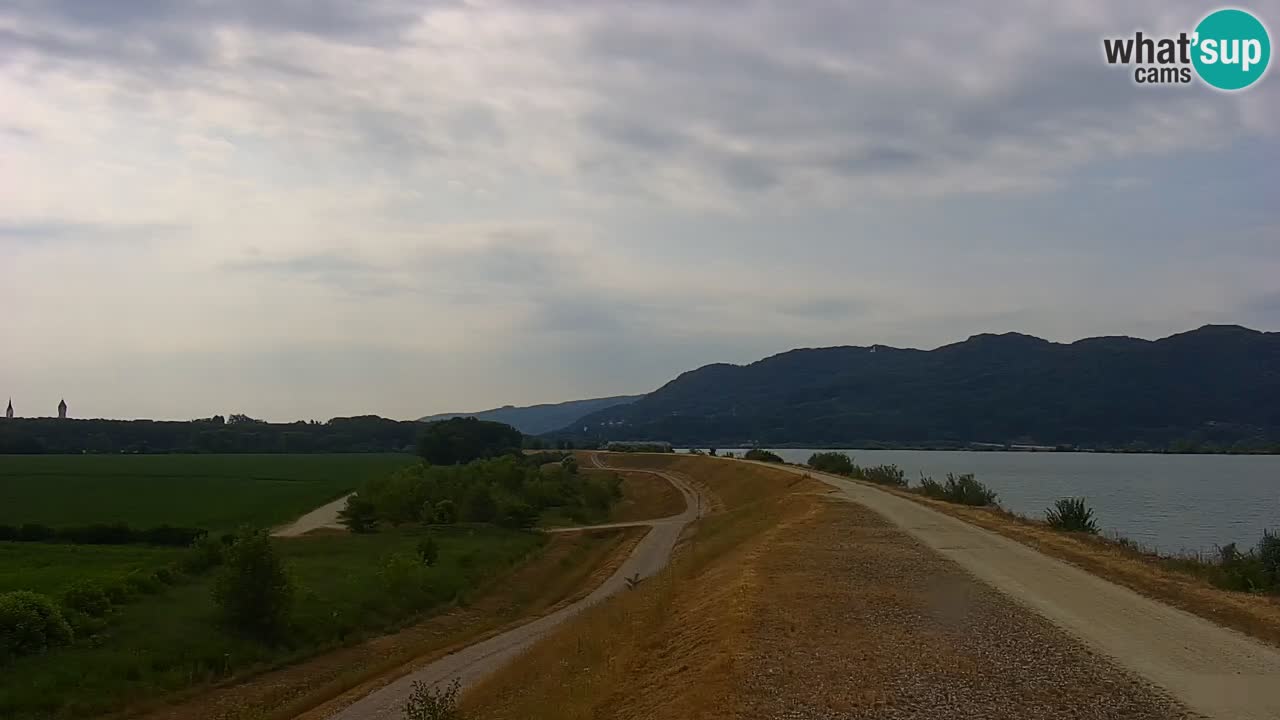 Live Webcam Brežice lake on Sava river – Slovenia