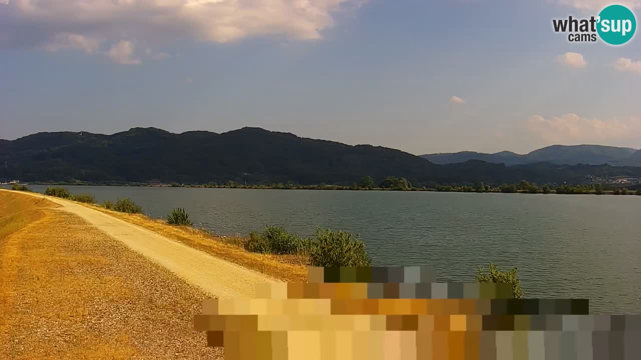 Web kamera uživo Jezero Brežice na rijeci Savi – Slovenija