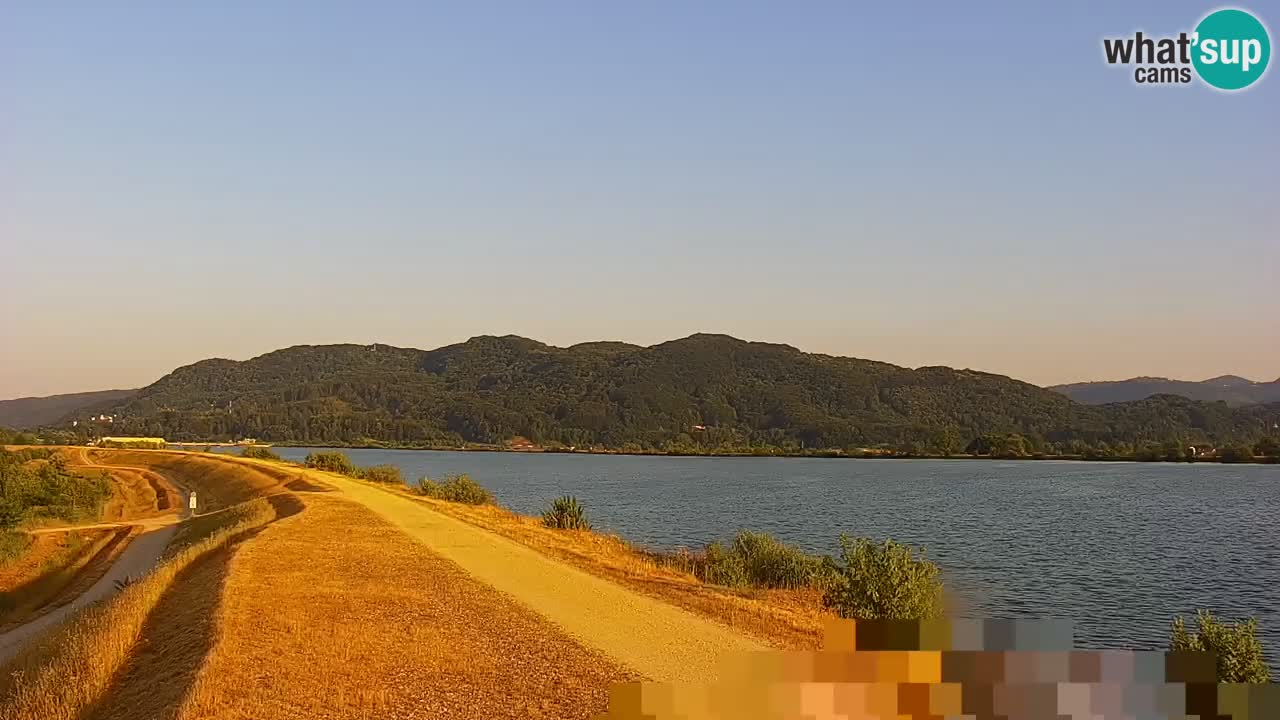 Spletna kamera v živo Brežiško jezero na reki Savi – Slovenija