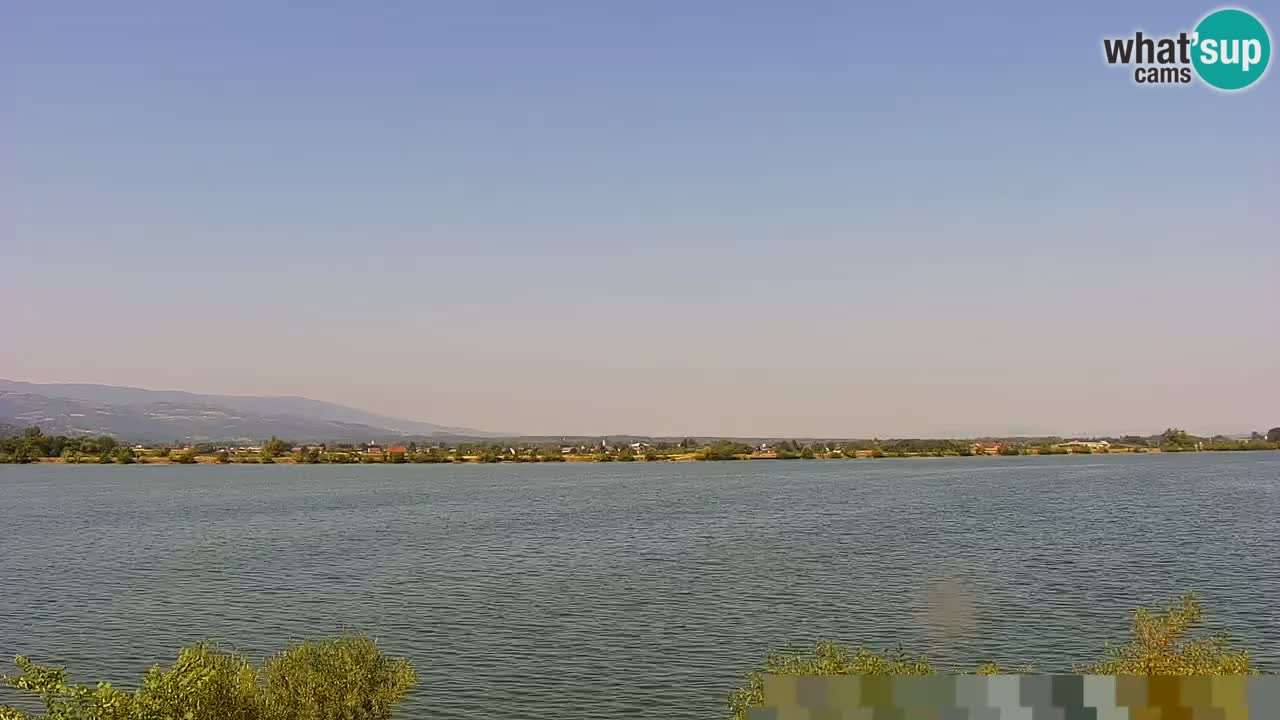 Live Webcam Lago di Brežice sul fiume Sava – Slovenia