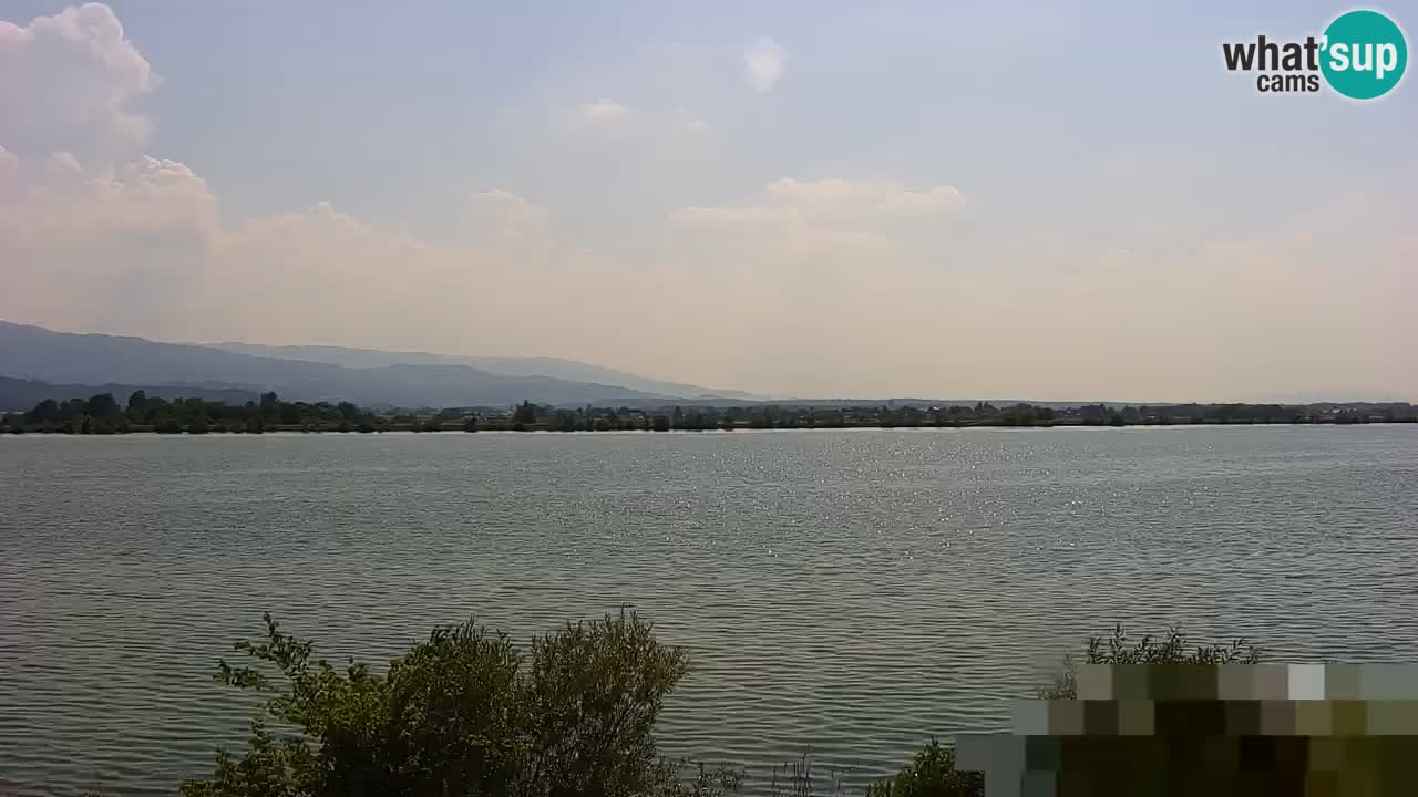 Live Webcam Brežice See am Fluss Sava – Slowenien