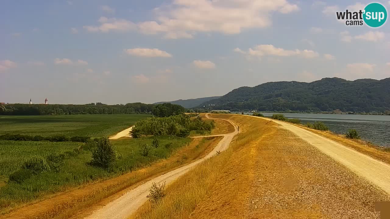 Live Webcam Brežice lake on Sava river – Slovenia