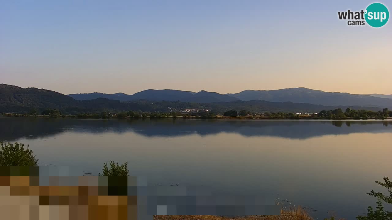 Spletna kamera v živo Brežiško jezero na reki Savi – Slovenija