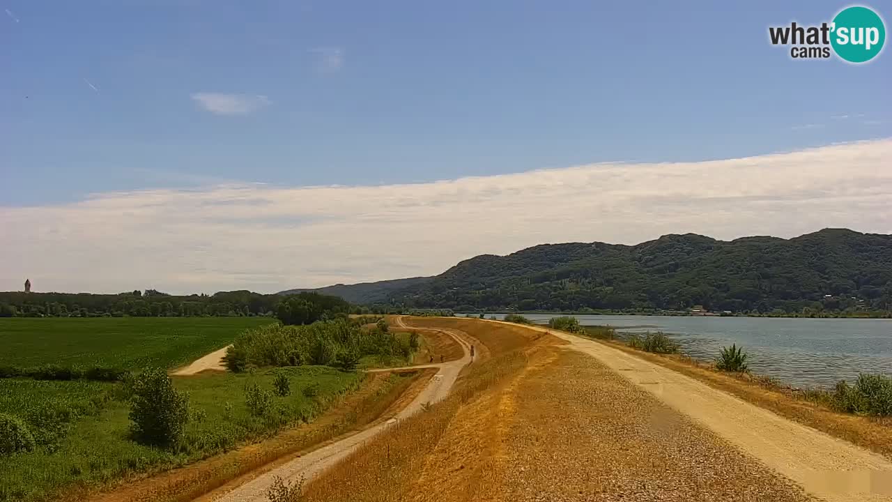 Spletna kamera v živo Brežiško jezero na reki Savi – Slovenija