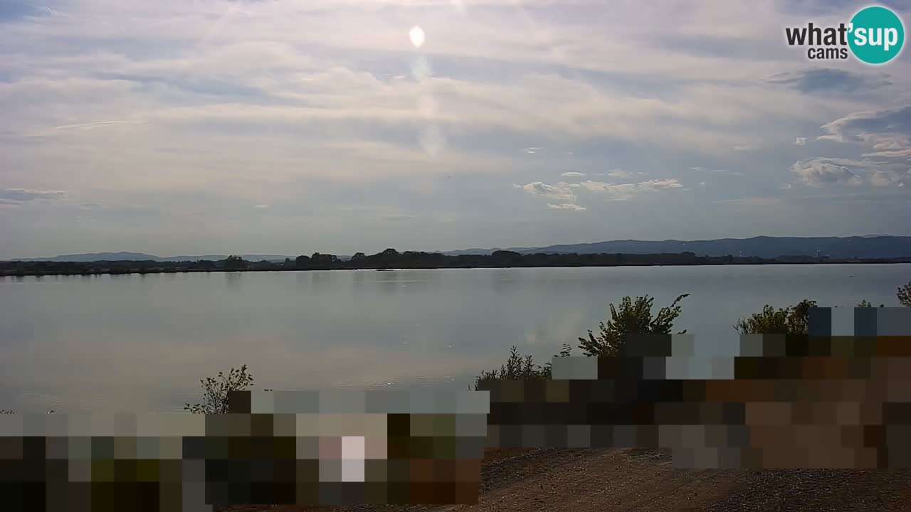 Live Webcam Lago di Brežice sul fiume Sava – Slovenia