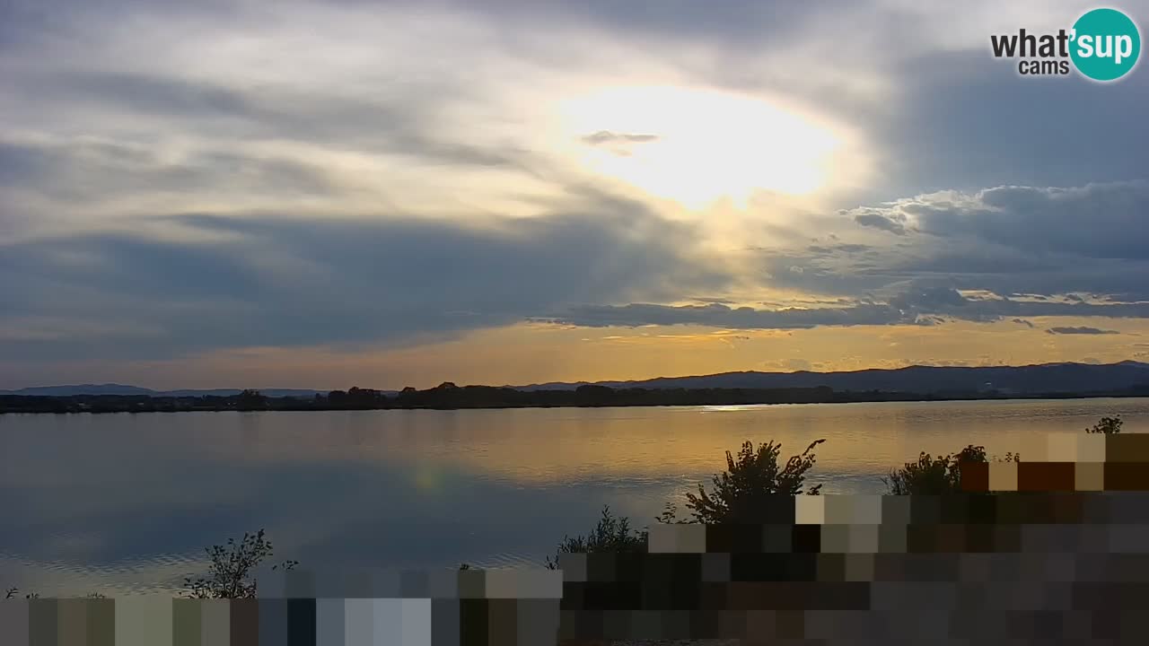 Live Webcam Brežice See am Fluss Sava – Slowenien