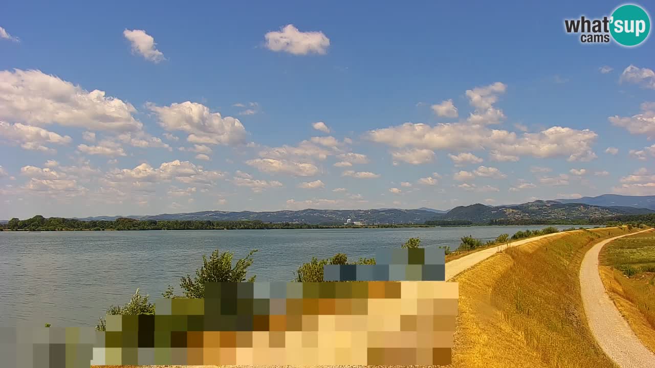 Live Webcam Brežice lake on Sava river – Slovenia