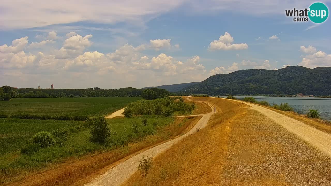 Live Webcam Brežice lake on Sava river – Slovenia