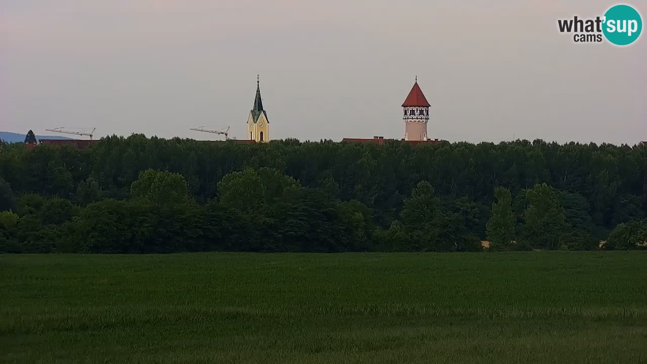 Webcam en direct Lac Brežice sur la rivière Sava – Slovénie