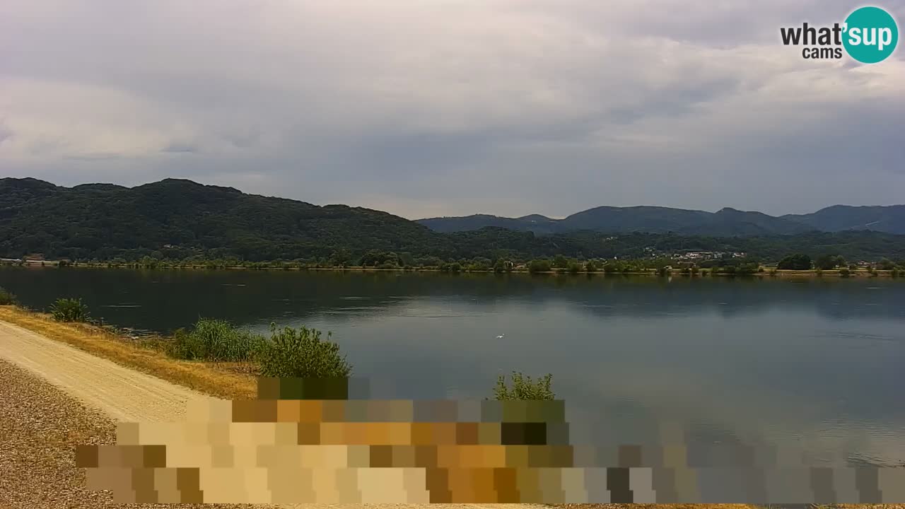 Live Webcam Brežice lake on Sava river – Slovenia