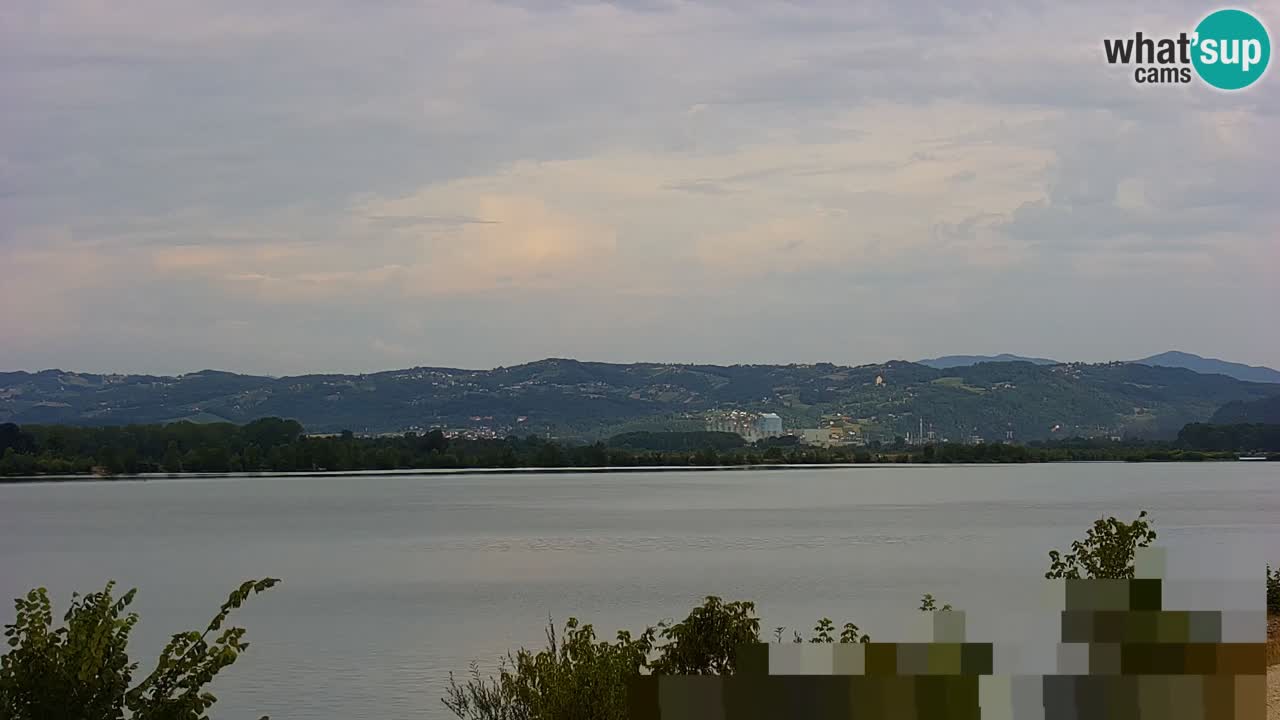 Webcam en direct Lac Brežice sur la rivière Sava – Slovénie