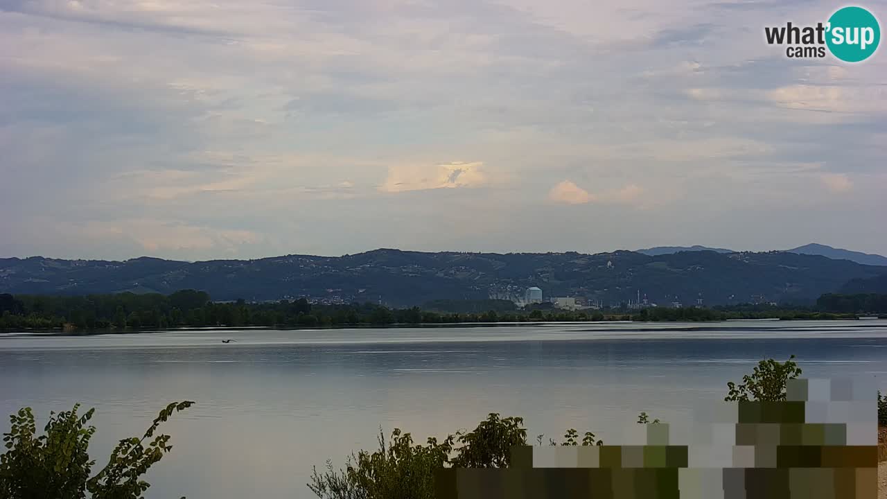 Live Webcam Brežice lake on Sava river – Slovenia