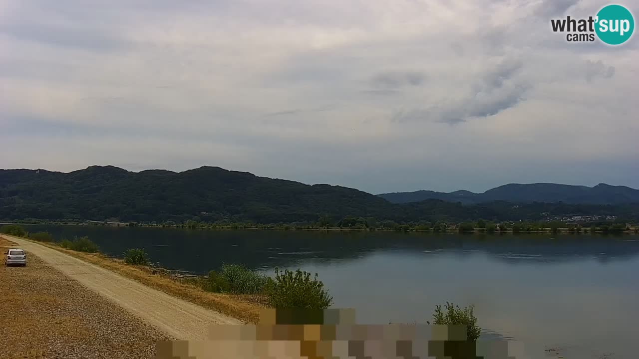 Live Webcam Brežice See am Fluss Sava – Slowenien