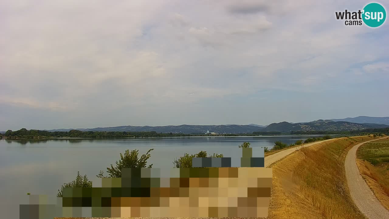 Spletna kamera v živo Brežiško jezero na reki Savi – Slovenija