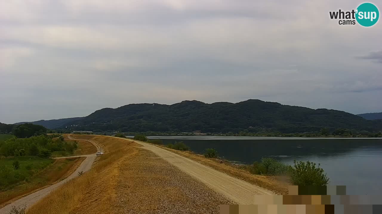 Live Webcam Brežice lake on Sava river – Slovenia