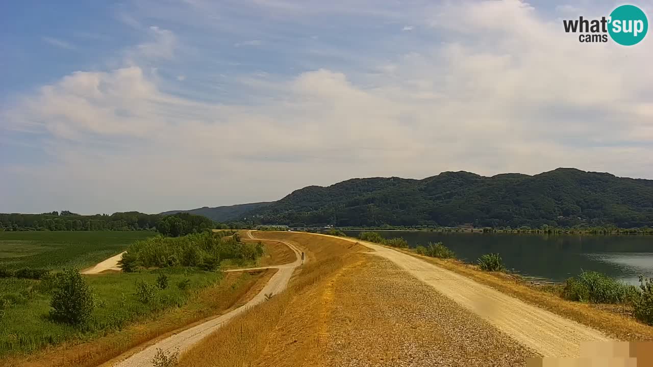Live Webcam Brežice lake on Sava river – Slovenia