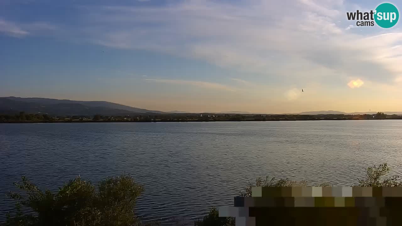Live Webcam Brežice See am Fluss Sava – Slowenien