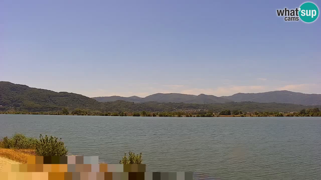 Spletna kamera v živo Brežiško jezero na reki Savi – Slovenija