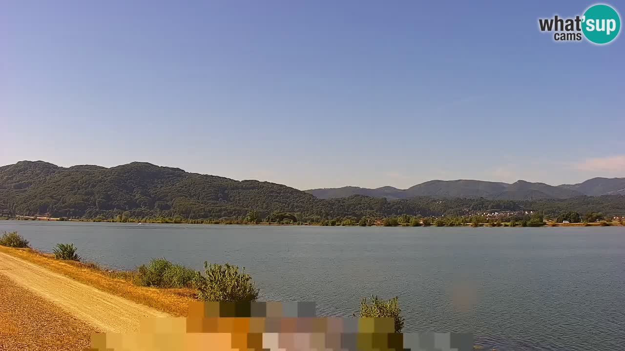 Spletna kamera v živo Brežiško jezero na reki Savi – Slovenija