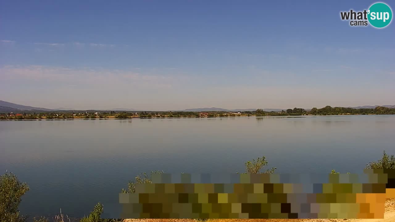 Live Webcam Lago di Brežice sul fiume Sava – Slovenia