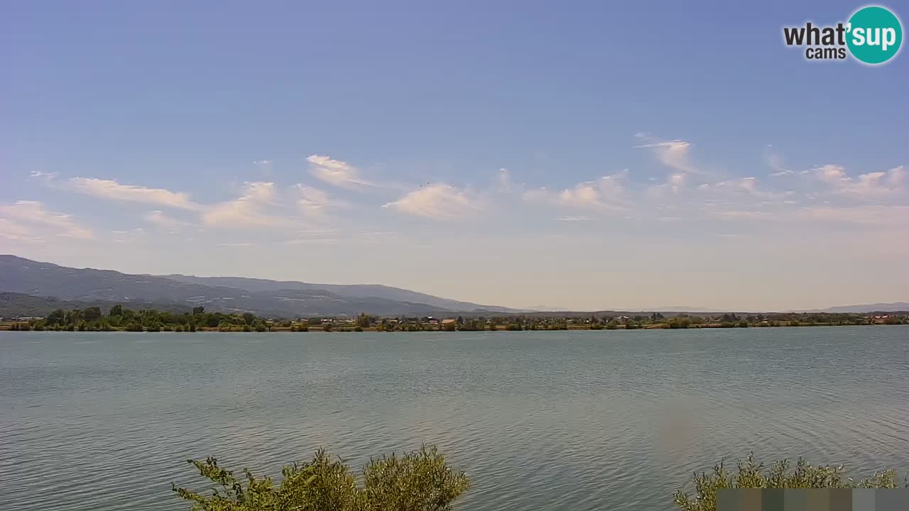Web kamera uživo Jezero Brežice na rijeci Savi – Slovenija