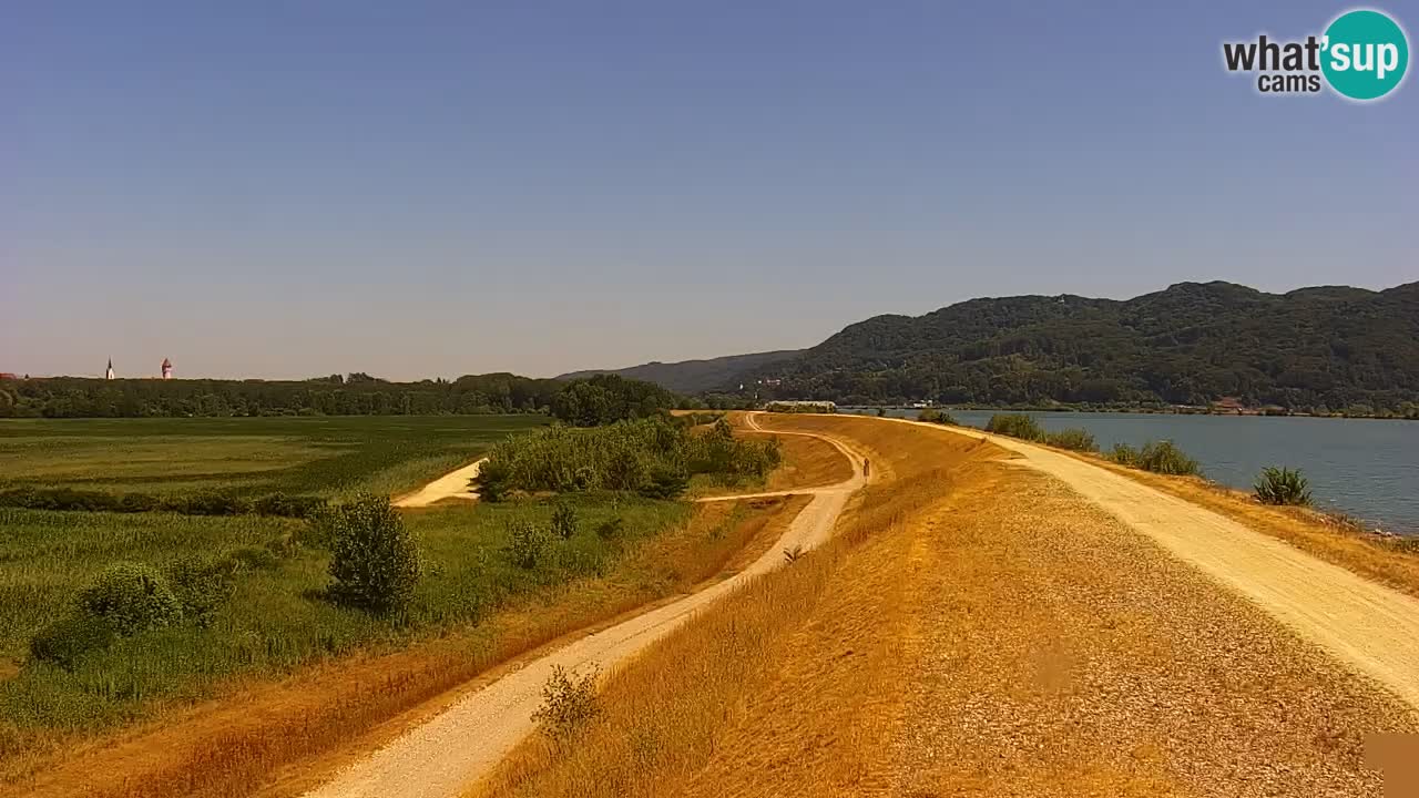 Live Webcam Lago di Brežice sul fiume Sava – Slovenia