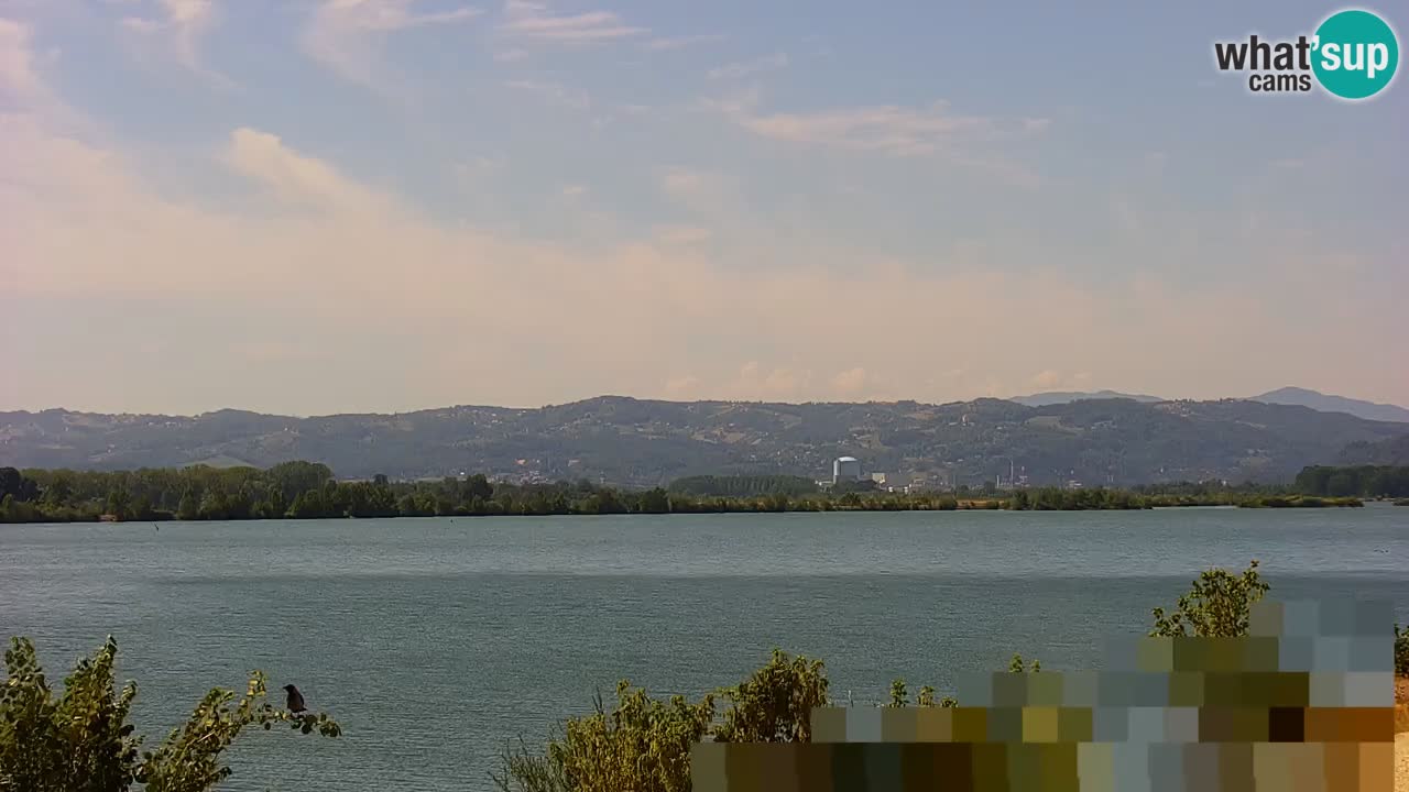 Live Webcam Brežice See am Fluss Sava – Slowenien