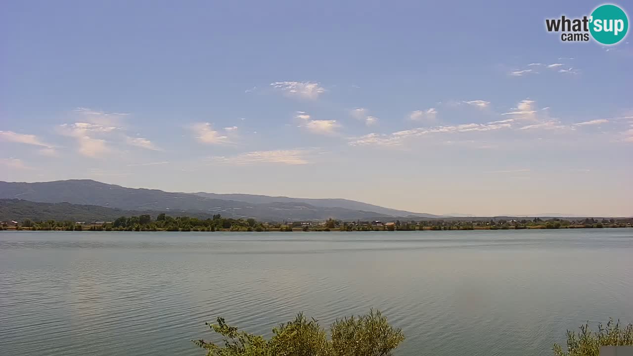 Web kamera uživo Jezero Brežice na rijeci Savi – Slovenija