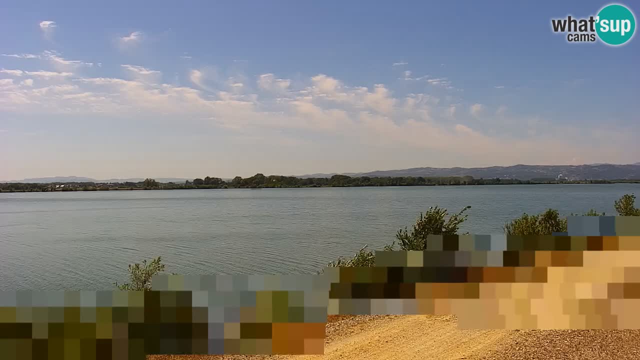Live Webcam Lago di Brežice sul fiume Sava – Slovenia