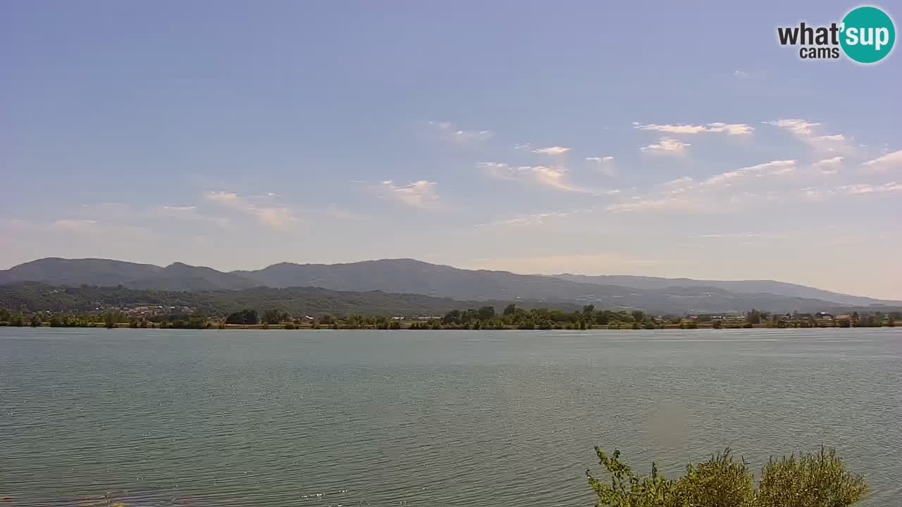 Web kamera uživo Jezero Brežice na rijeci Savi – Slovenija