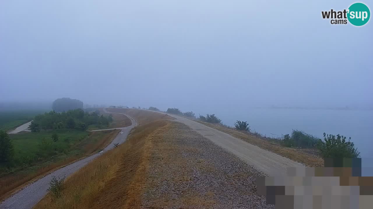 Spletna kamera v živo Brežiško jezero na reki Savi – Slovenija