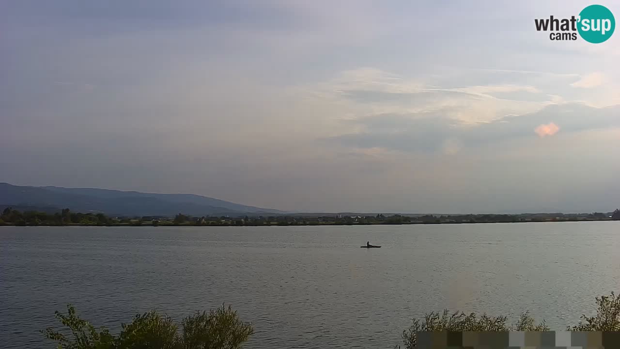 Live Webcam Brežice lake on Sava river – Slovenia