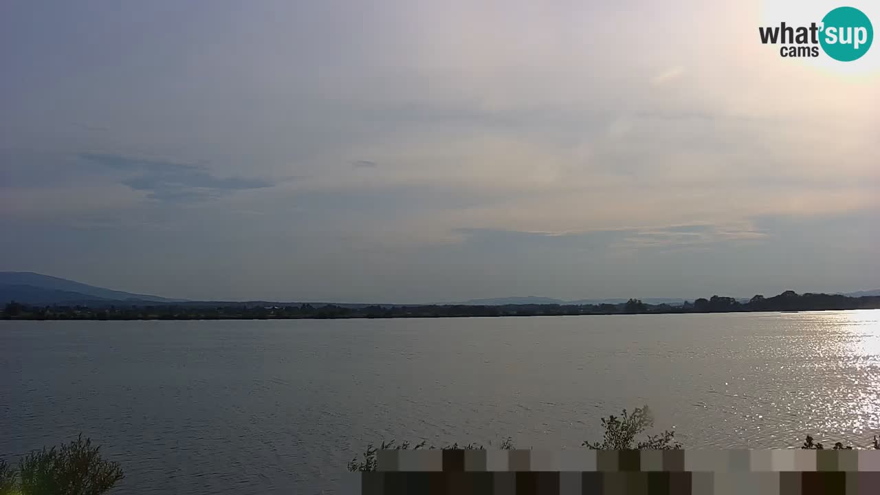 Live Webcam Brežice See am Fluss Sava – Slowenien