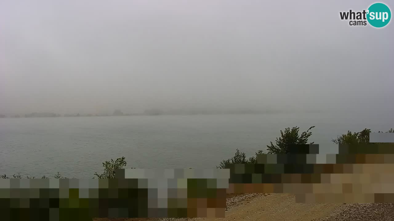 Live Webcam Lago di Brežice sul fiume Sava – Slovenia