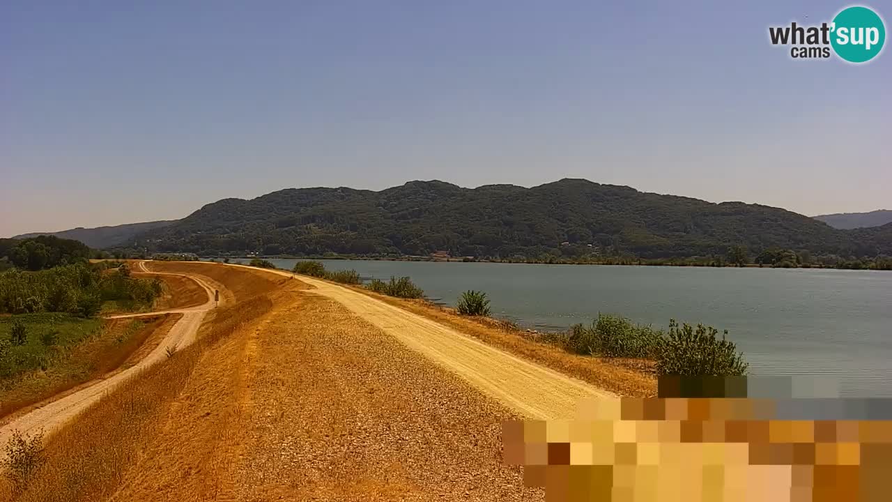 Spletna kamera v živo Brežiško jezero na reki Savi – Slovenija