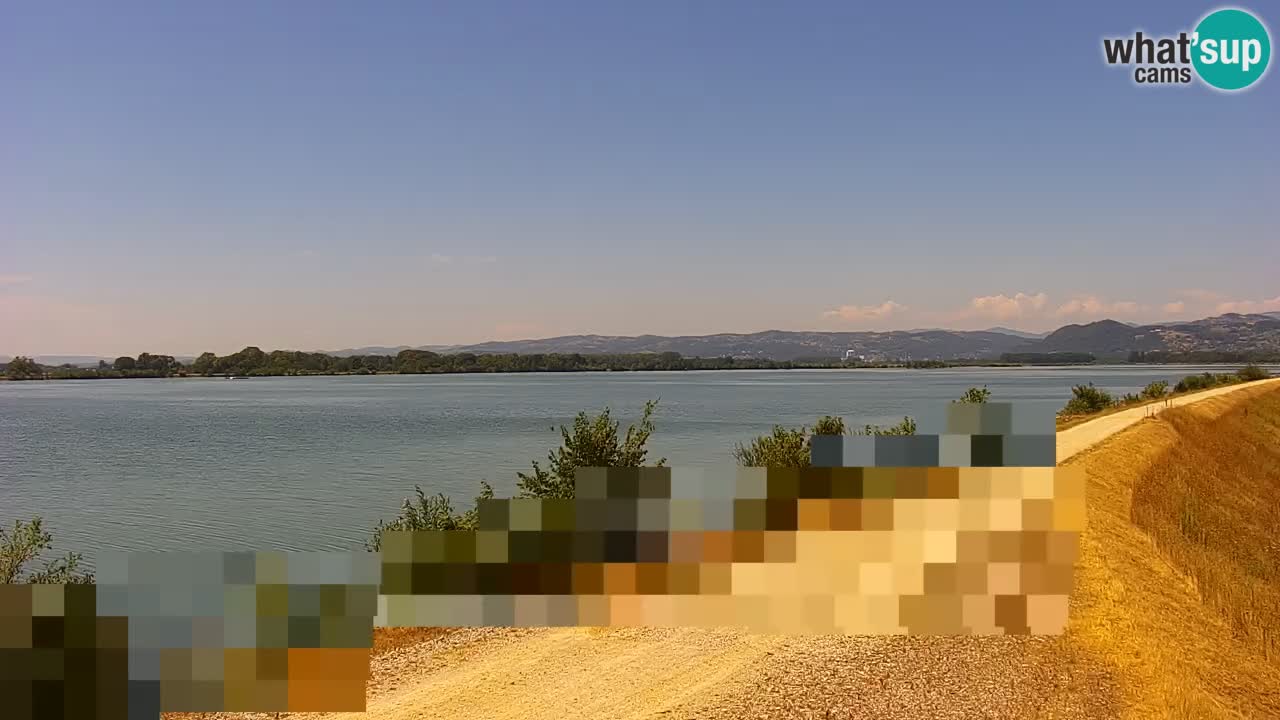 Webcam en vivo lago Brežice en el río Sava – Eslovenia