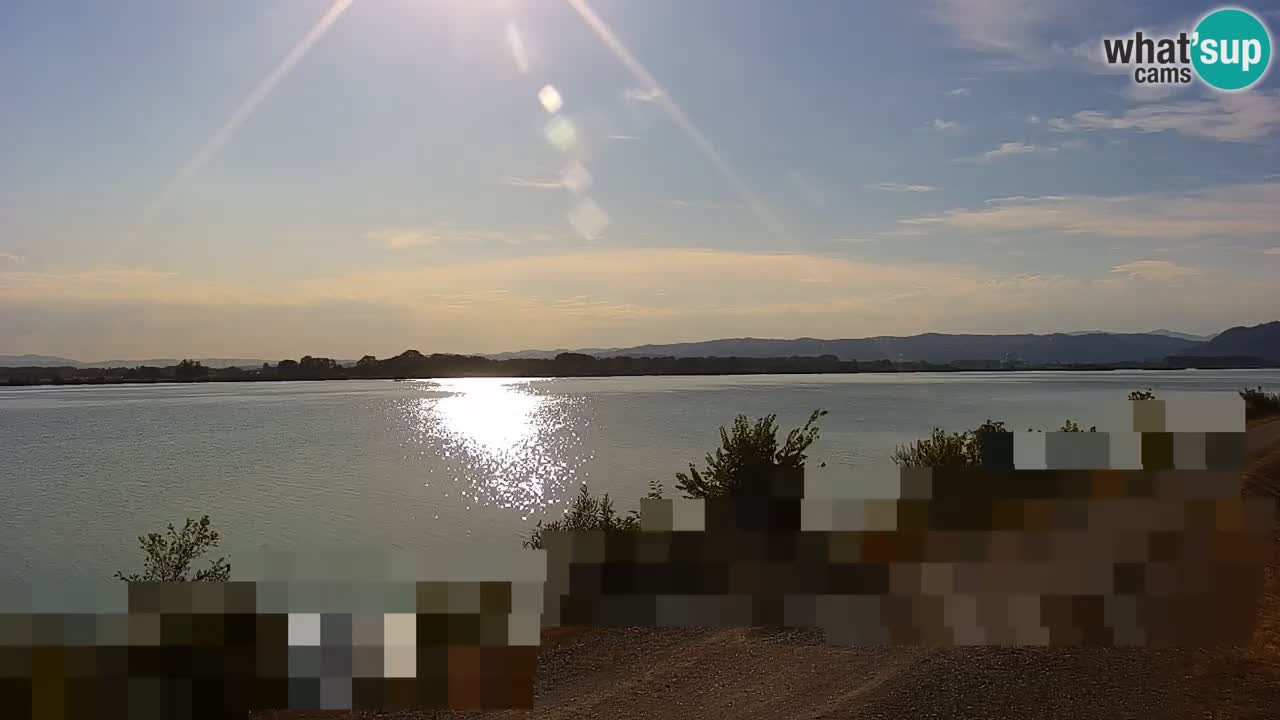 Spletna kamera v živo Brežiško jezero na reki Savi – Slovenija