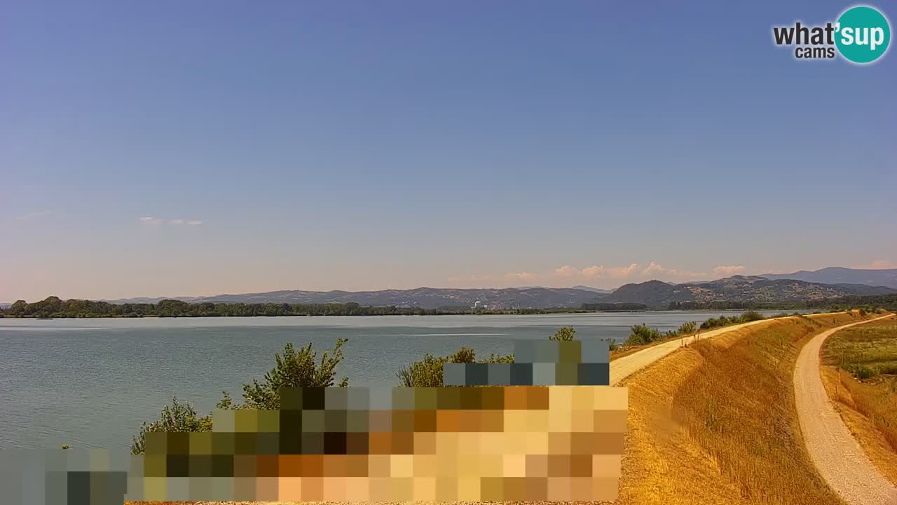Live Webcam Lago di Brežice sul fiume Sava – Slovenia