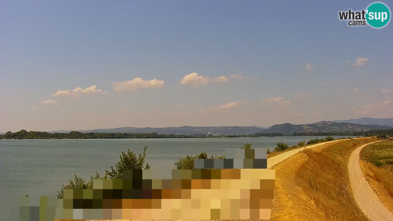 Spletna kamera v živo Brežiško jezero na reki Savi – Slovenija