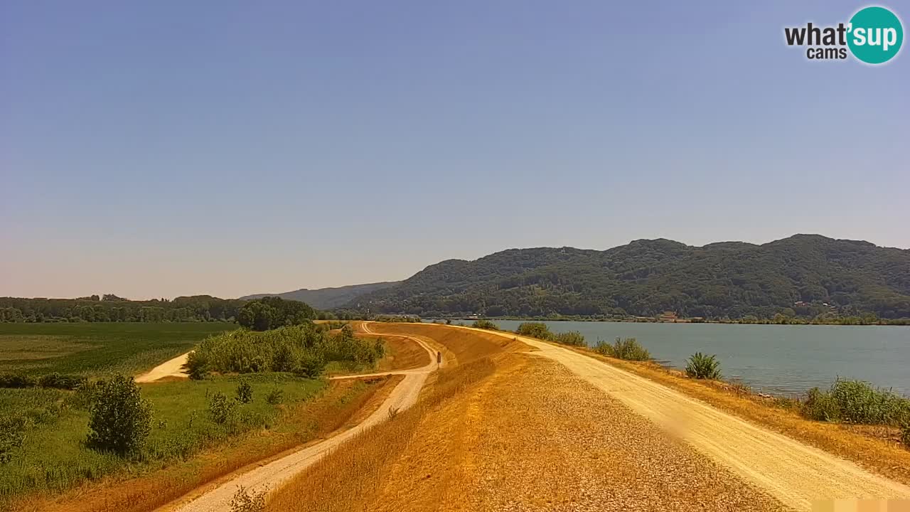Spletna kamera v živo Brežiško jezero na reki Savi – Slovenija
