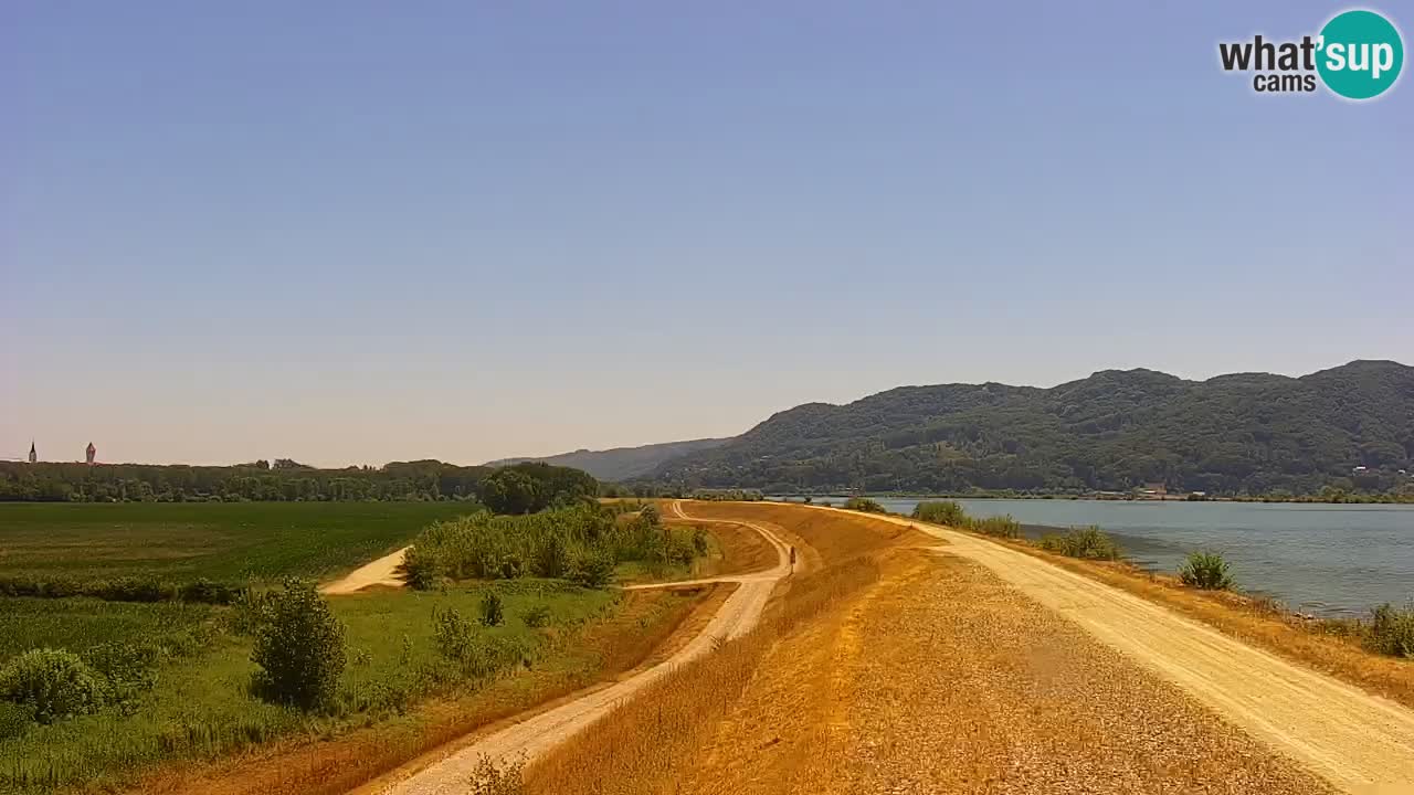 Live Webcam Lago di Brežice sul fiume Sava – Slovenia