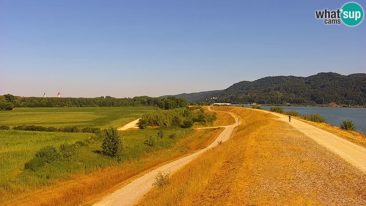 Web kamera uživo Jezero Brežice na rijeci Savi – Slovenija
