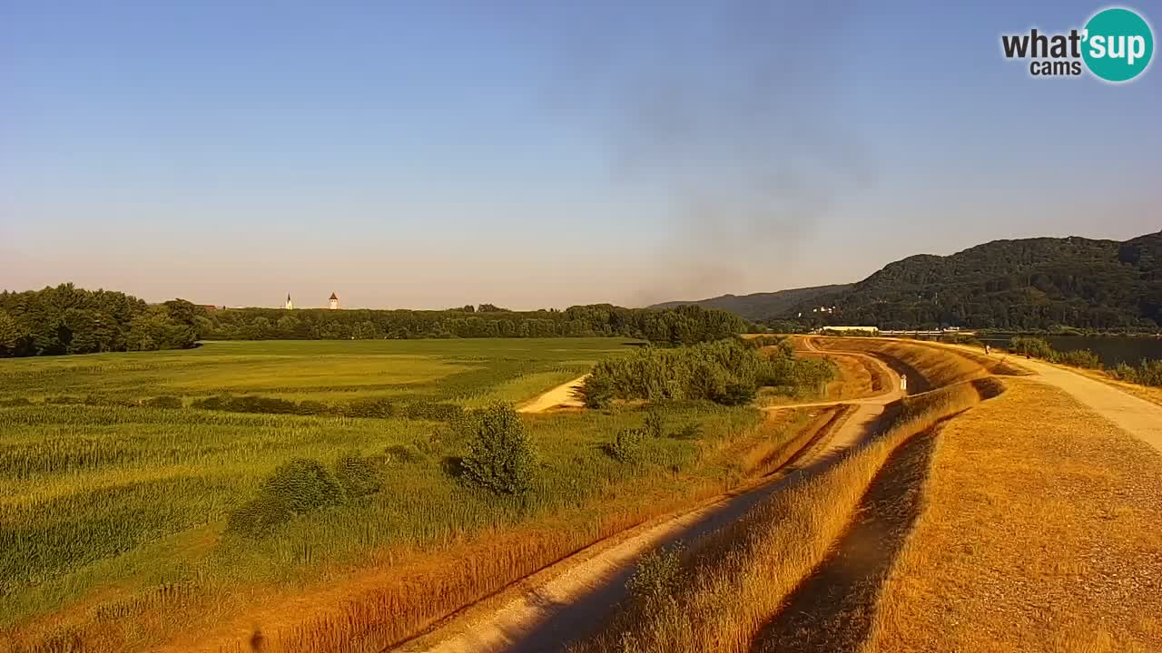 Spletna kamera v živo Brežiško jezero na reki Savi – Slovenija