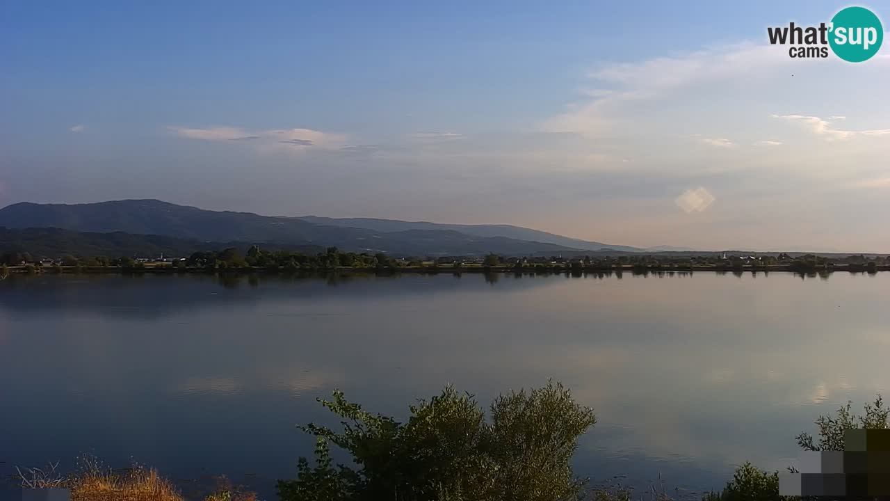 Live Webcam Lago di Brežice sul fiume Sava – Slovenia