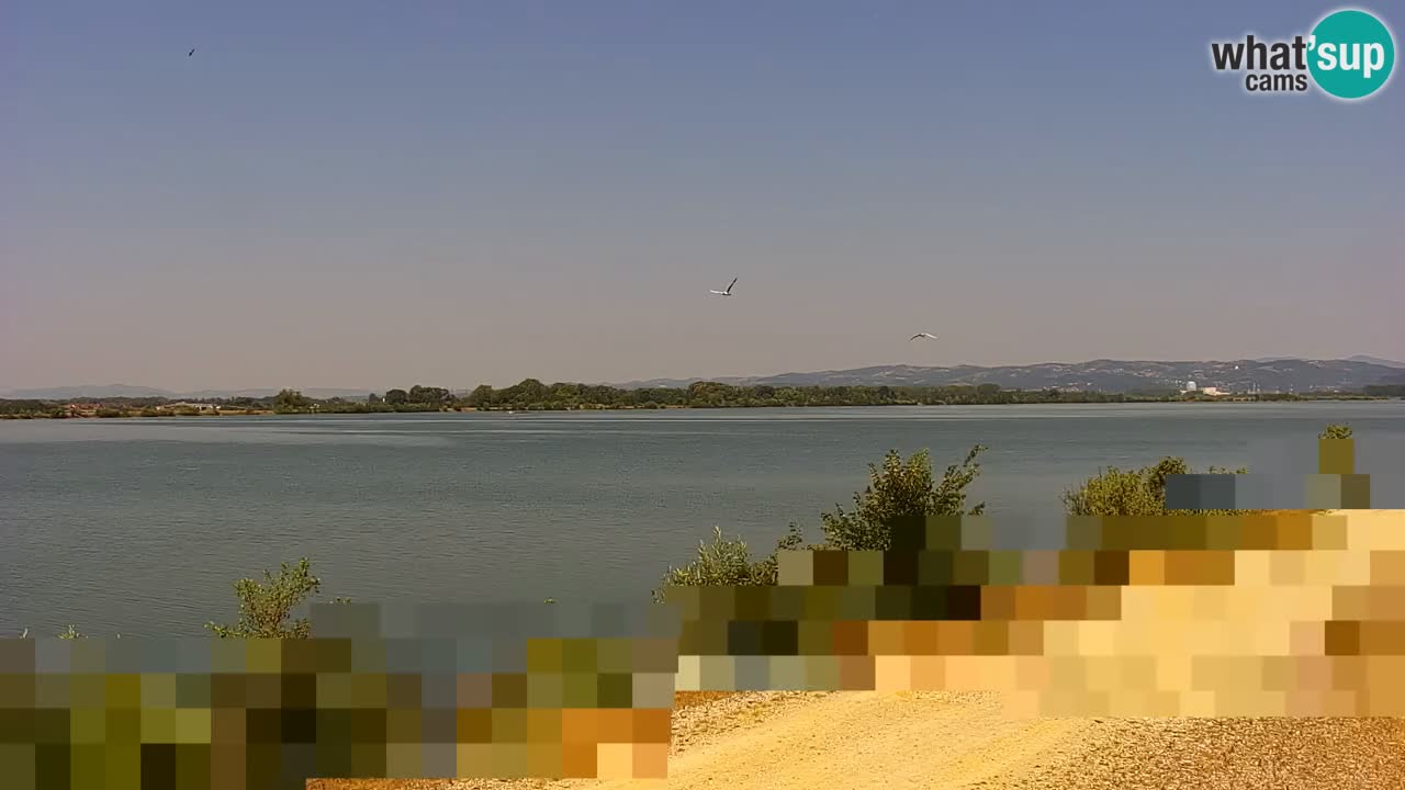Web kamera uživo Jezero Brežice na rijeci Savi – Slovenija