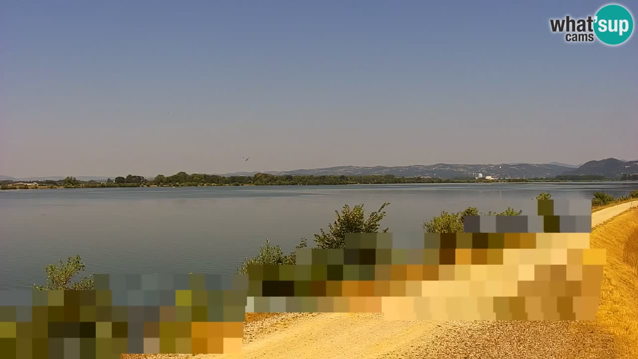 Spletna kamera v živo Brežiško jezero na reki Savi – Slovenija