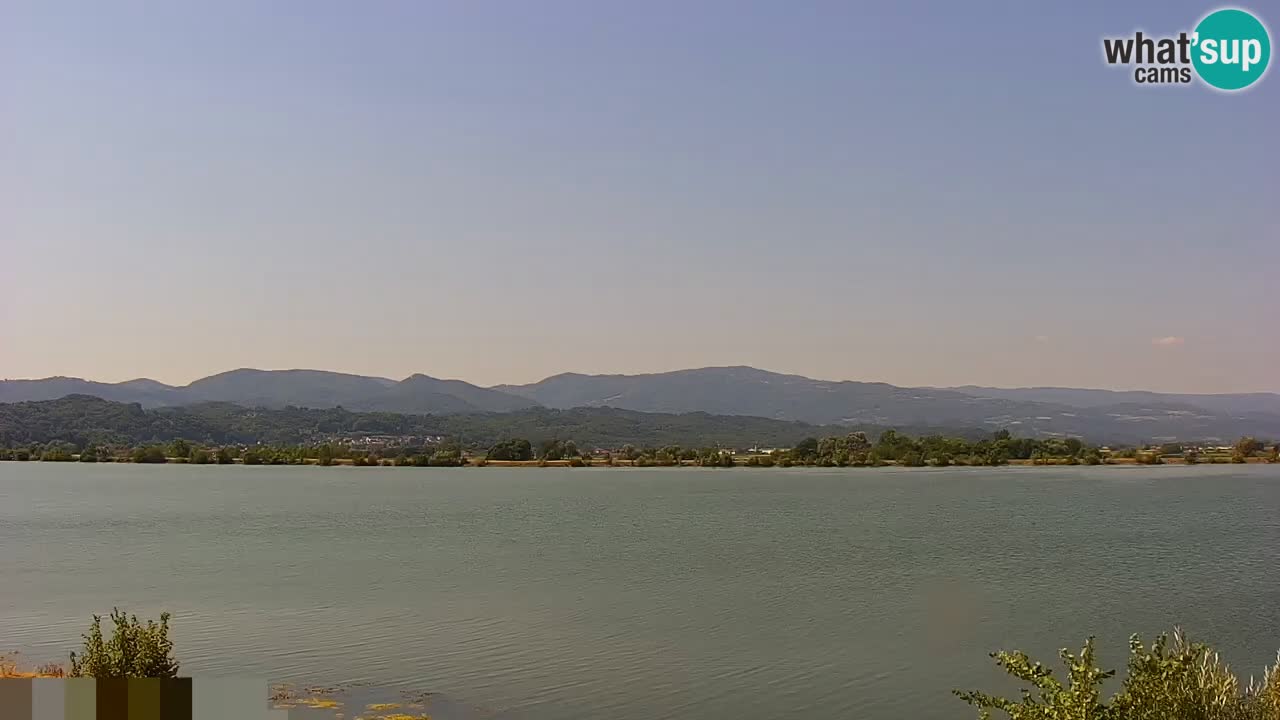 Live Webcam Brežice See am Fluss Sava – Slowenien