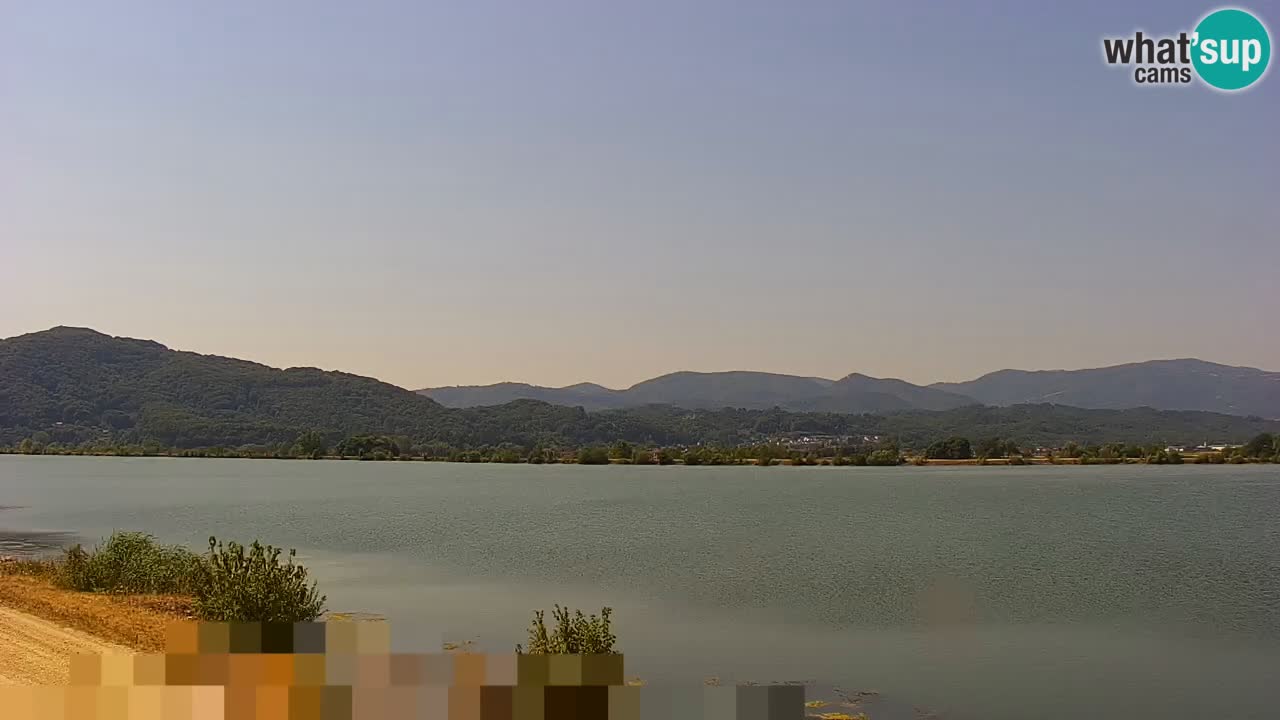 Live Webcam Lago di Brežice sul fiume Sava – Slovenia