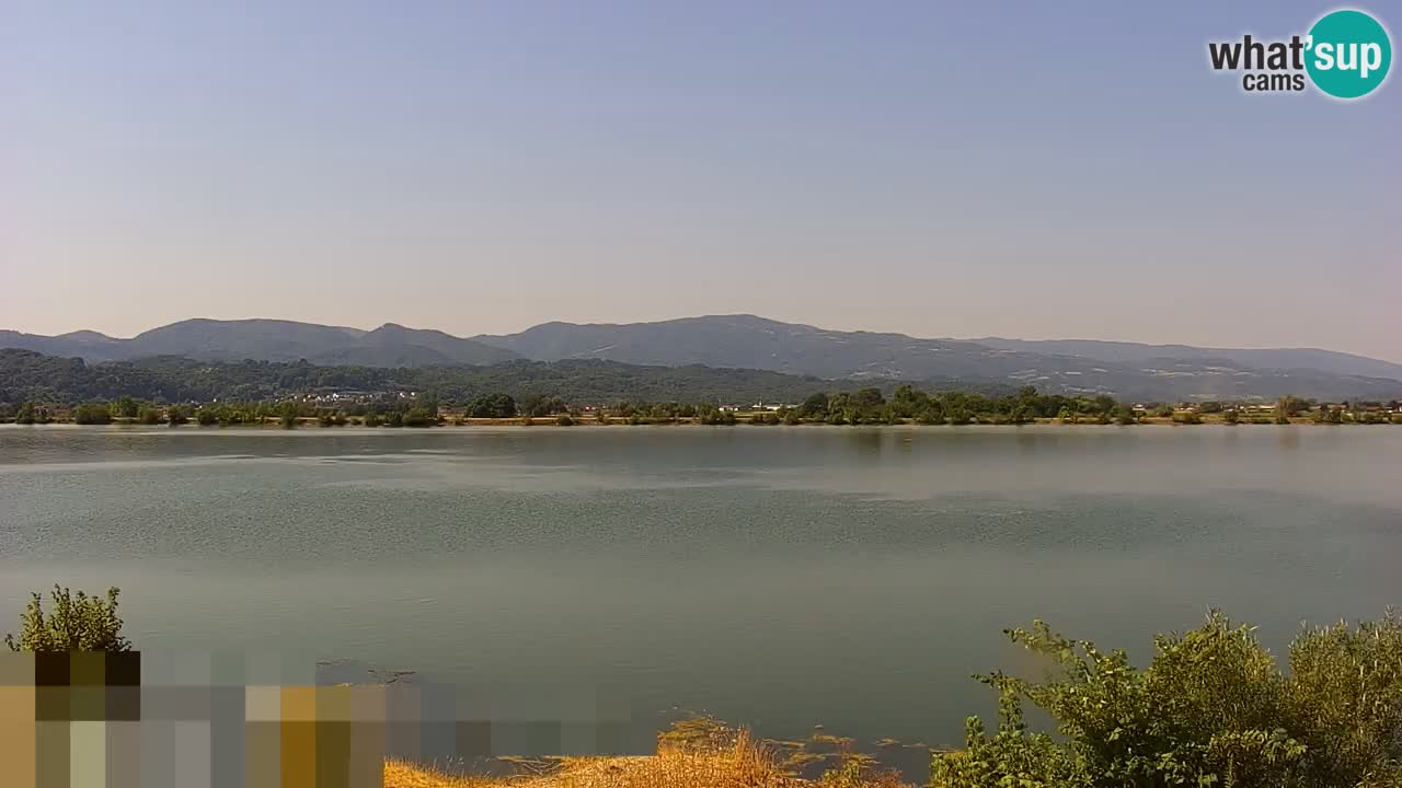 Live Webcam Lago di Brežice sul fiume Sava – Slovenia