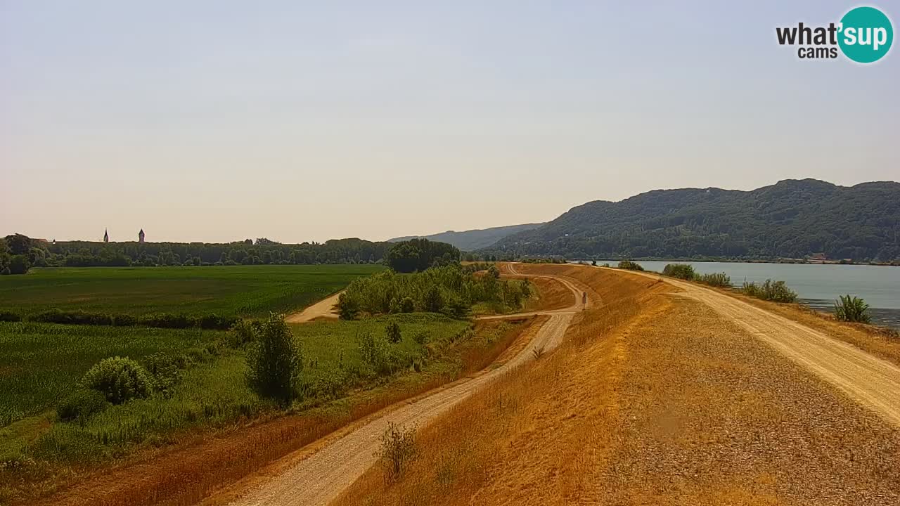 Webcam en direct Lac Brežice sur la rivière Sava – Slovénie
